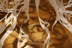 Roots and shadows on the floor of the gallery